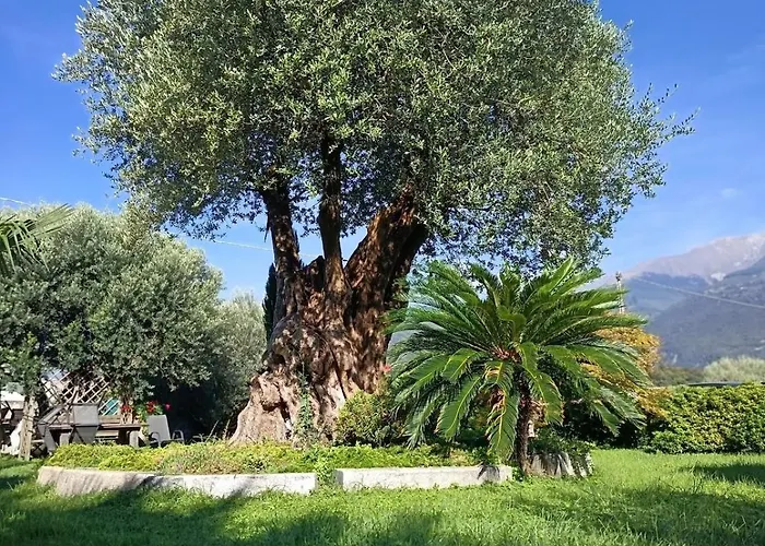 Marco Апартаменты *