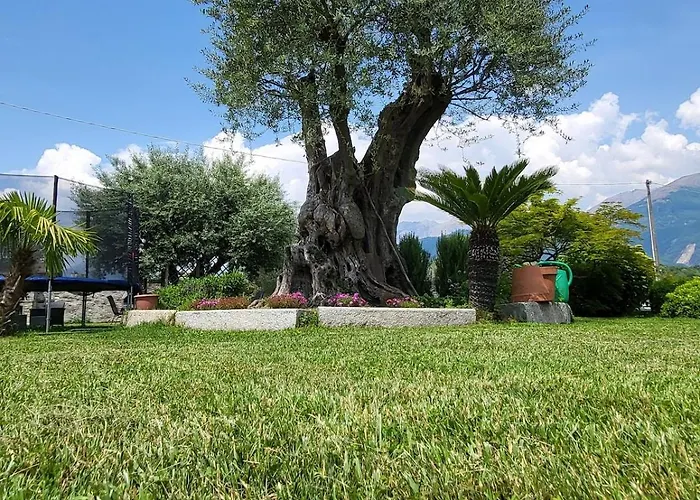 Marco Апартаменты Колико