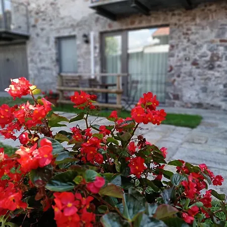 Apartament Marco Colico